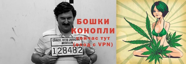 эйфоретик Вяземский