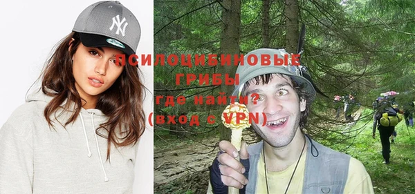 эйфоретик Вяземский