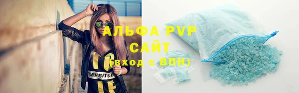 эйфоретик Вяземский