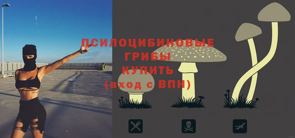 синтетический гашиш Вязьма