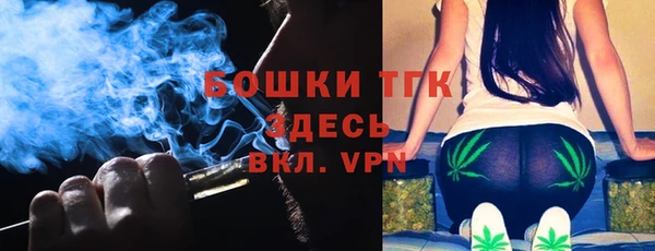 эйфоретик Вяземский