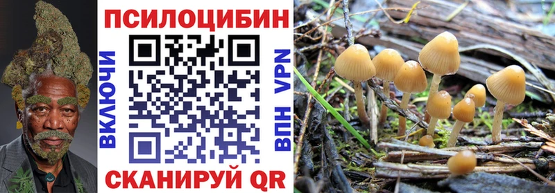 Псилоцибиновые грибы Cubensis  Купить где  Пятигорск 